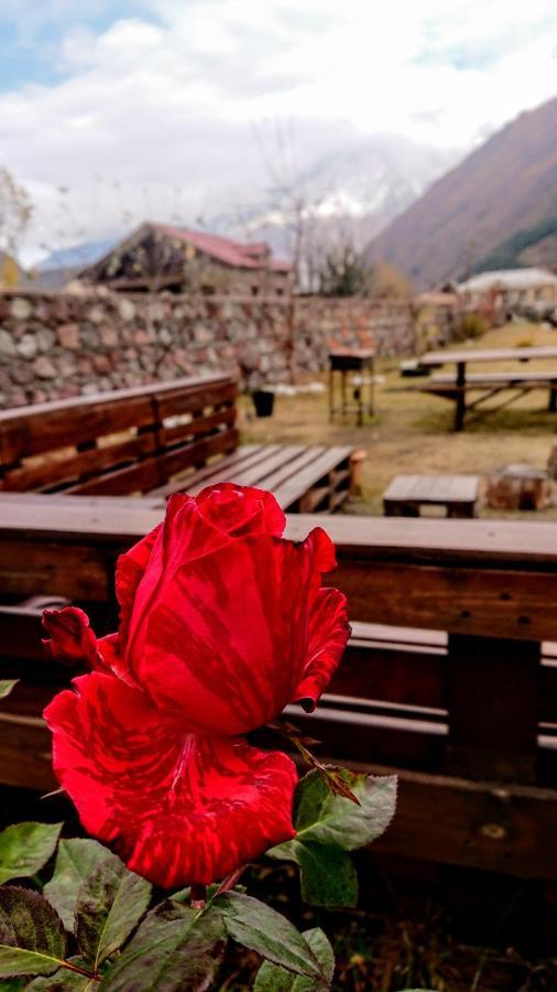 Дом для отпуска ---Аллегрия Хаус Казбеги Экстерьер фото
