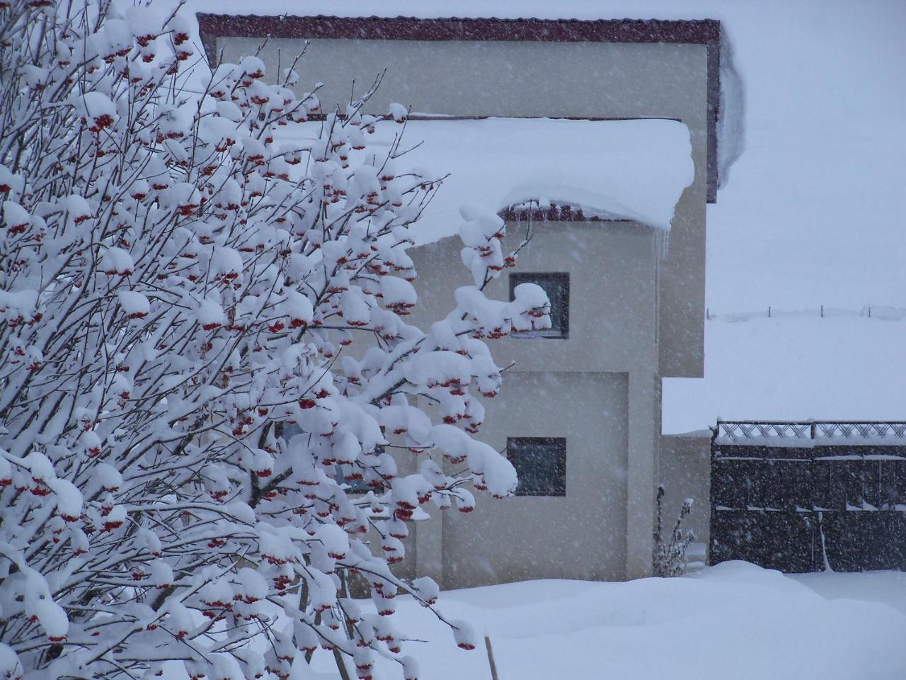 Вилла Дом для отпуска ---Аллегрия Хаус Казбеги Экстерьер фото